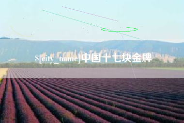 桂平中国十七块金牌