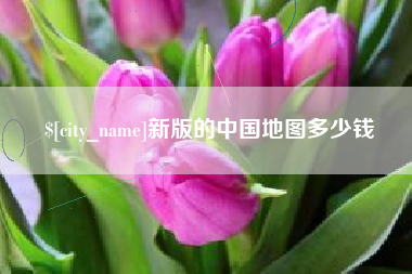 桂平新版的中国地图多少钱