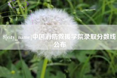 桂平中国消防救援学院录取分数线公布