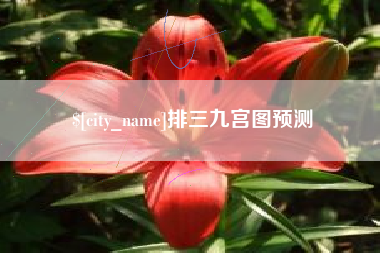 桂平排三九宫图预测