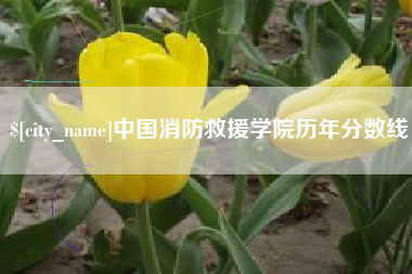 桂平中国消防救援学院历年分数线