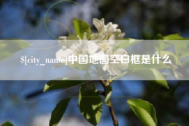 桂平中国地图空白框是什么