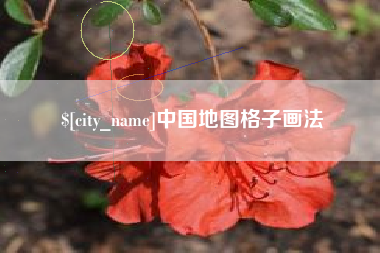 桂平中国地图格子画法