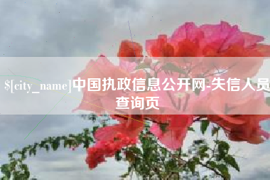 桂平中国执政信息公开网-失信人员查询页