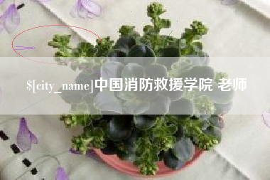 桂平中国消防救援学院 老师
