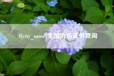 桂平全国消防证书查询