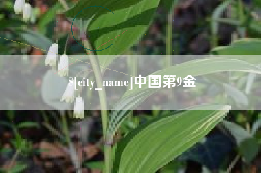 桂平中国第9金