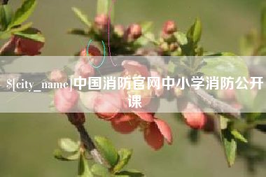 桂平中国消防官网中小学消防公开课