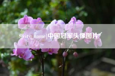 桂平中国冠军头像图片