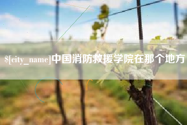 桂平中国消防救援学院在那个地方