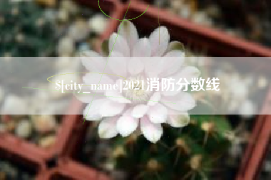 桂平2021消防分数线