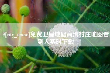 桂平免费卫星地图高清村庄地图看到人实时下载