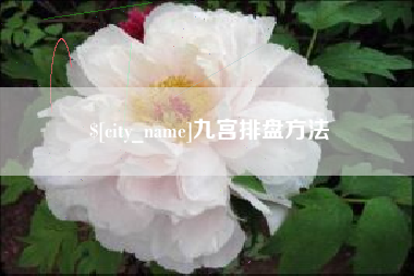 桂平九宫排盘方法