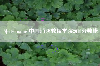 桂平中国消防救援学院2018分数线