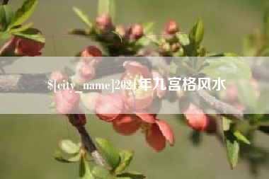 桂平2021年九宫格风水