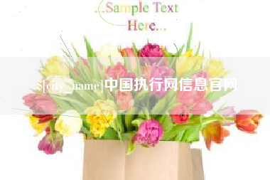桂平中国执行网信息官网