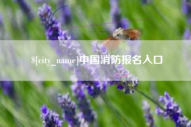 桂平中国消防报名入口