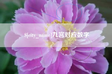 桂平九宫对应数字