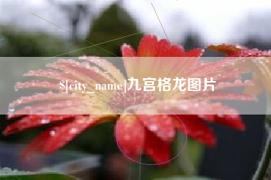 桂平九宫格龙图片