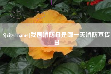 桂平我国消防日是哪一天消防宣传日