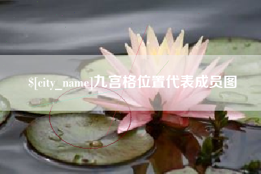 桂平九宫格位置代表成员图