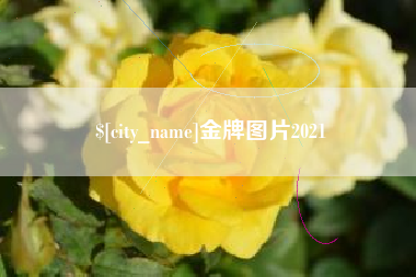 桂平金牌图片2021