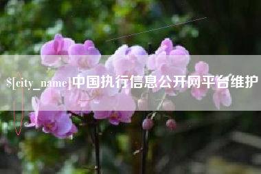 桂平中国执行信息公开网平台维护