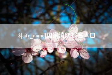 桂平国家消防报名入口