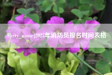 桂平2025年消防员报名时间表格