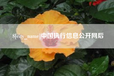 桂平中国执行信息公开网后