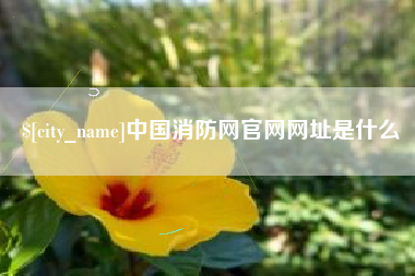 桂平中国消防网官网网址是什么