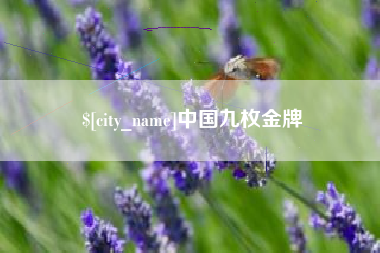 桂平中国九枚金牌