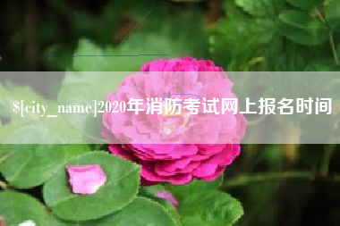 桂平2020年消防考试网上报名时间