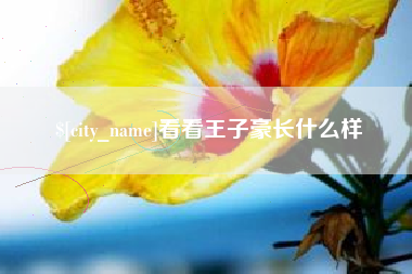 桂平看看王子豪长什么样