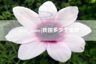 桂平我国多少个金牌