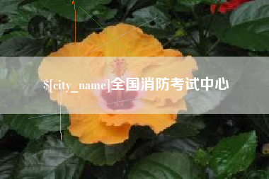 桂平全国消防考试中心