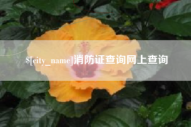 桂平消防证查询网上查询