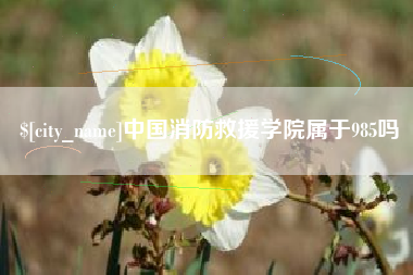 桂平中国消防救援学院属于985吗