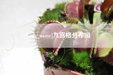 桂平九宫格分布图