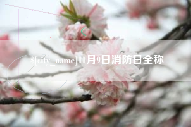 桂平11月9日消防日全称
