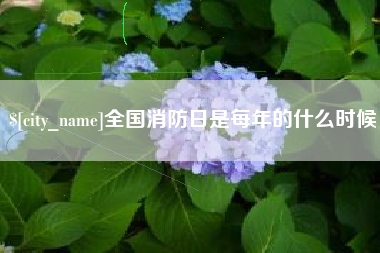 桂平全国消防日是每年的什么时候