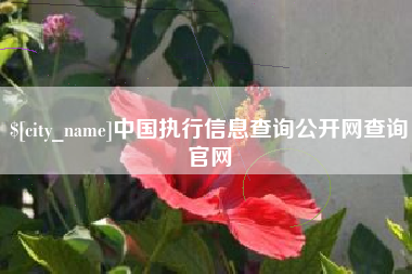 桂平中国执行信息查询公开网查询官网