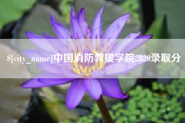 桂平中国消防救援学院2020录取分