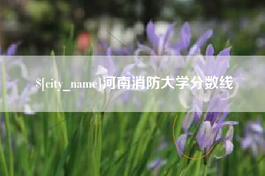 桂平河南消防大学分数线