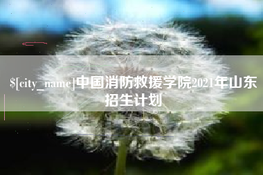 桂平中国消防救援学院2021年山东招生计划