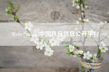 桂平中国执行信息公开平台