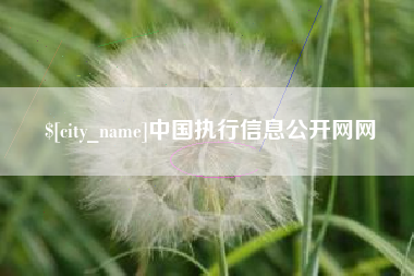 桂平中国执行信息公开网网