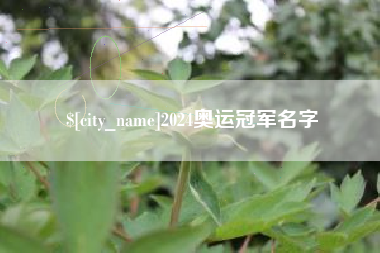 桂平2024奥运冠军名字