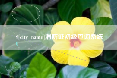 桂平消防证初级查询系统