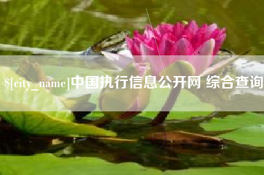 桂平中国执行信息公开网 综合查询